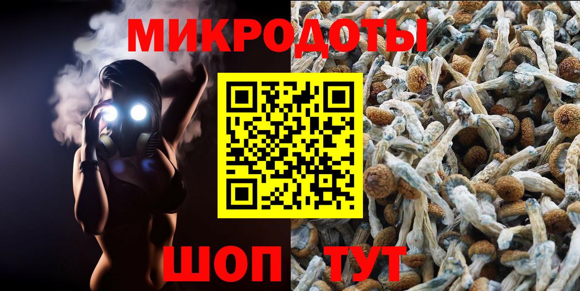 Псилоцибиновые грибы ЛСД Коммунар