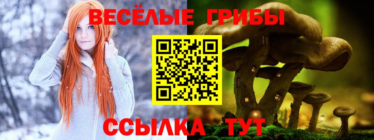 Коммунар  Псилоцибиновые грибы GOLDEN TEACHER  магазин    Вход с VPN  Псилоцибиновые грибы GOLDEN TEACHER 
